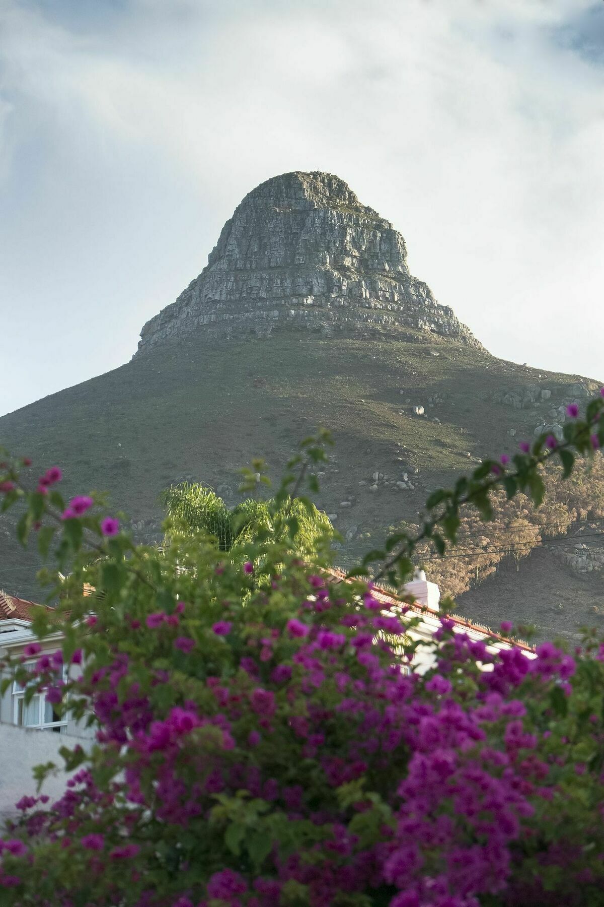 Rhonda'S Manor Boutique Guesthouse Cape Town Exterior foto